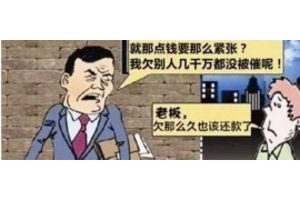 鞍山企业清欠服务